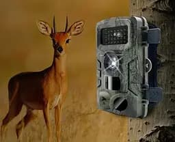 Фотолівка мисливська — Outdoor camera - мініатюра 7
