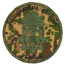 Шеврон НГУ (полум'я, хрест, нитка полин, Хижак, липучка, 9 см) Хижак