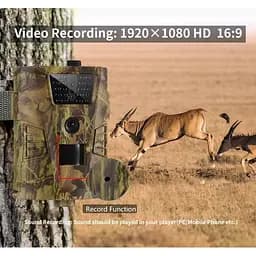 Фотоловушка HT001B Камера з датчиком руху і нічний зйомкою 12Mp 850nm IP54 - мініатюра 2