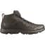 Кроссовки Salomon Speed Assault 2 GTX 9.5 Earth - миниатюра 2