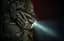 Фонарь с ЛЦВ Olight Baldr S Green Laser Flat Dark Earth - миниатюра 12