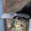 Ніж Spyderco Stovepipe CPM 20CV Titanium - мініатюра 5